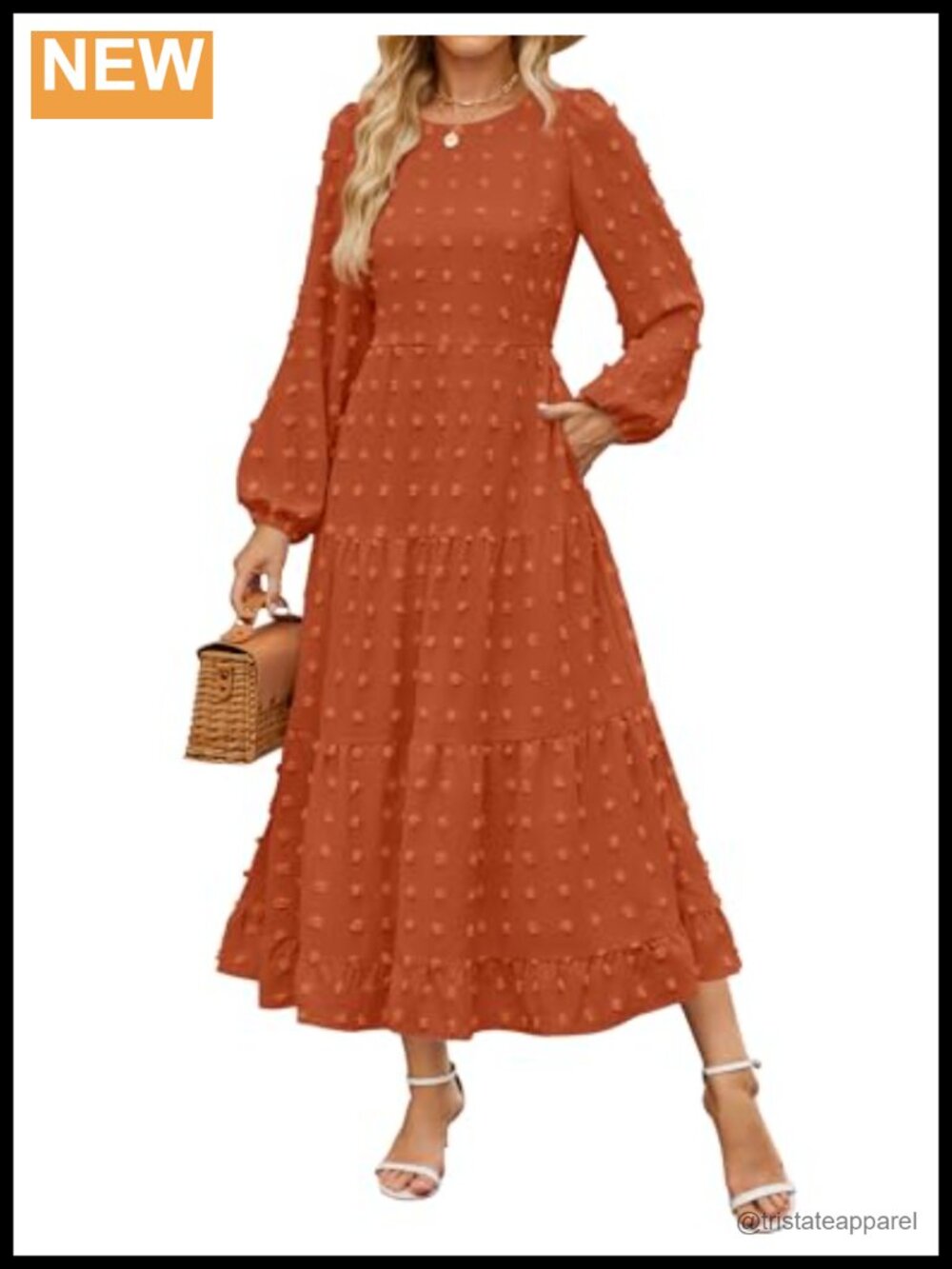 Long Sleeve Swiss Dot Maxi Dress A-Line Wedding Guest